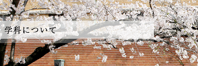 学科について
